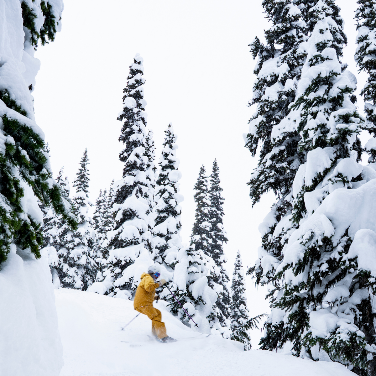 indigenous women outdoors off piste program whistler skiing snowboarding cover x