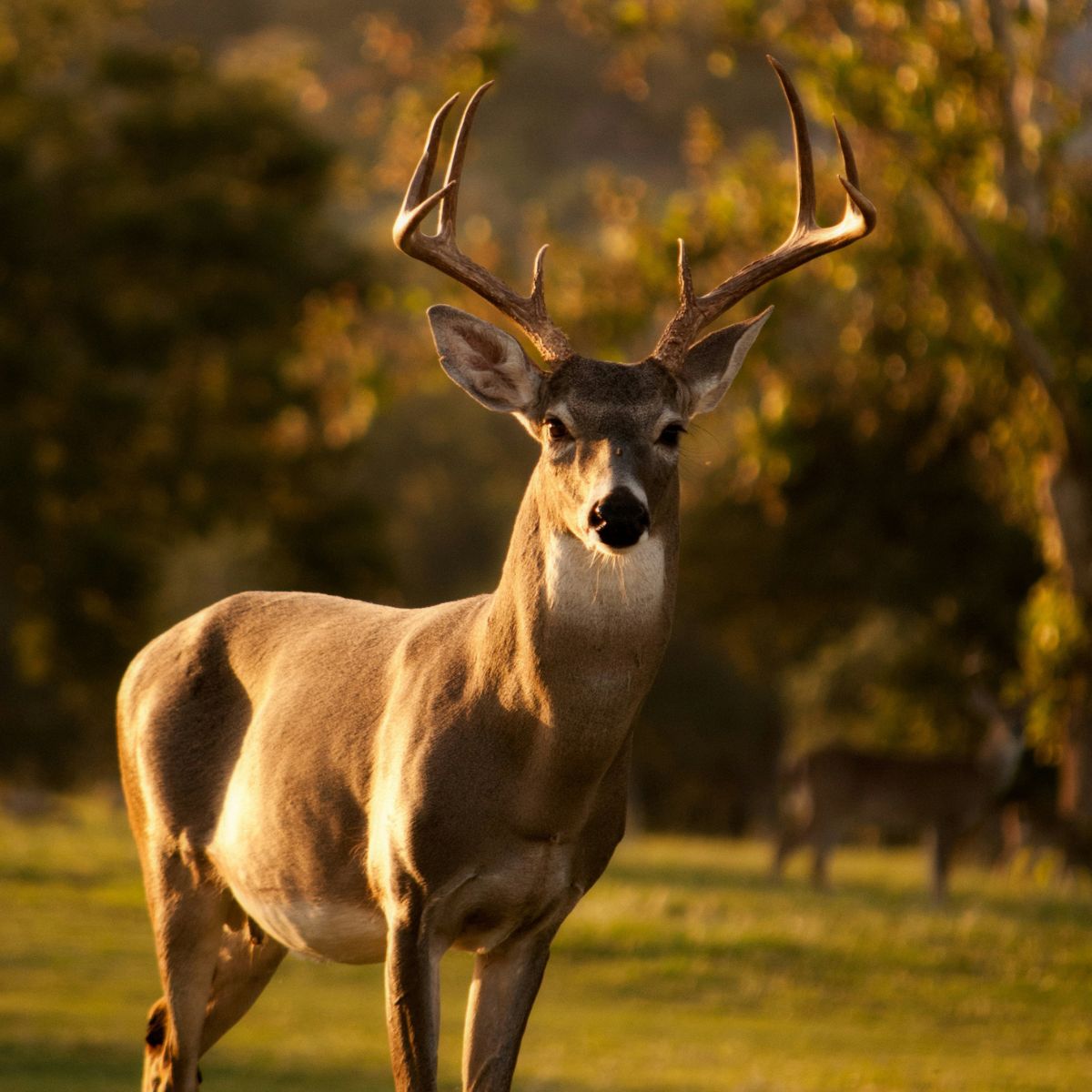 Indigenous Women Outdoors Introduction to Hunting Series